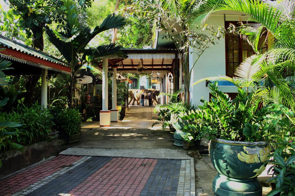 Green Land Guest House Pinnawala  Exteriér fotografie