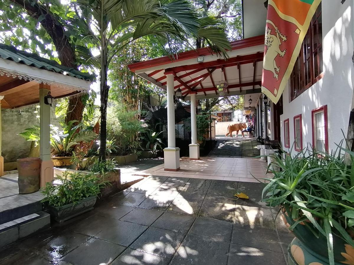 Green Land Guest House Pinnawala  Exteriér fotografie