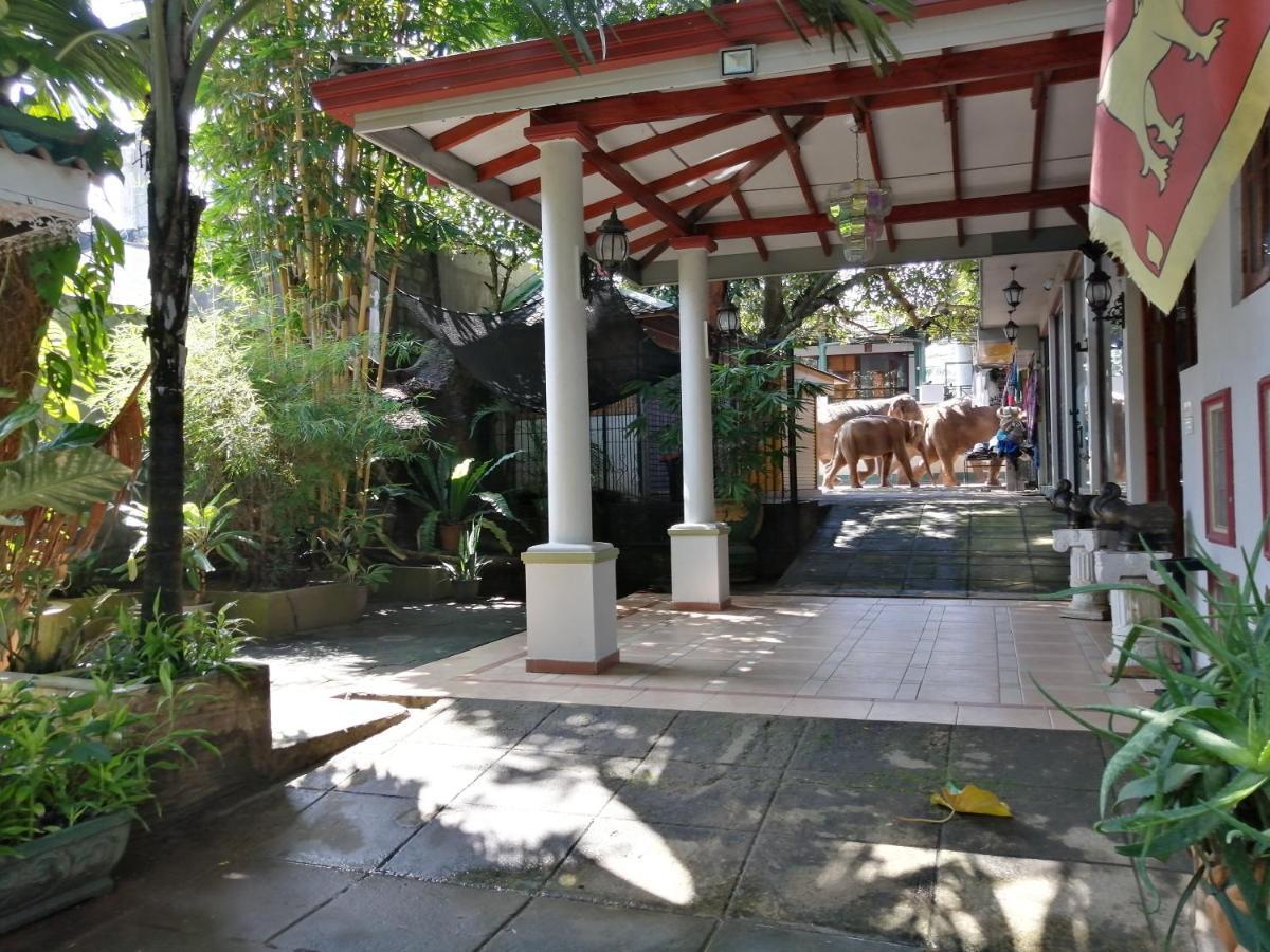 Green Land Guest House Pinnawala  Exteriér fotografie